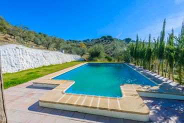 Holiday home Sevilla Andalusia for 12 people