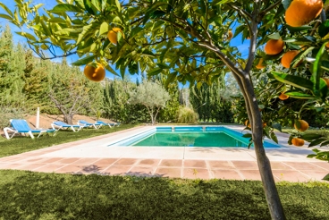 Pretty holiday home with private pool in the Guadalhorce valley