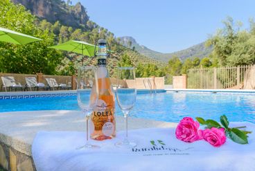 Holiday home Jaen Andalusia for 18 people