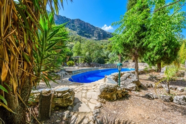 Nicely decorated house with tropical garden