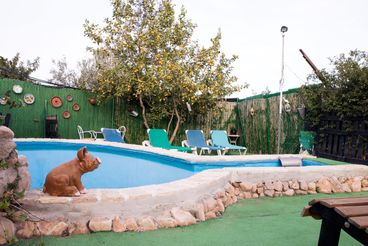 Holiday home Malaga Andalusia for 6 people