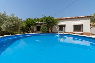 Holiday villa for eight people, less than 20 km from Juzcar