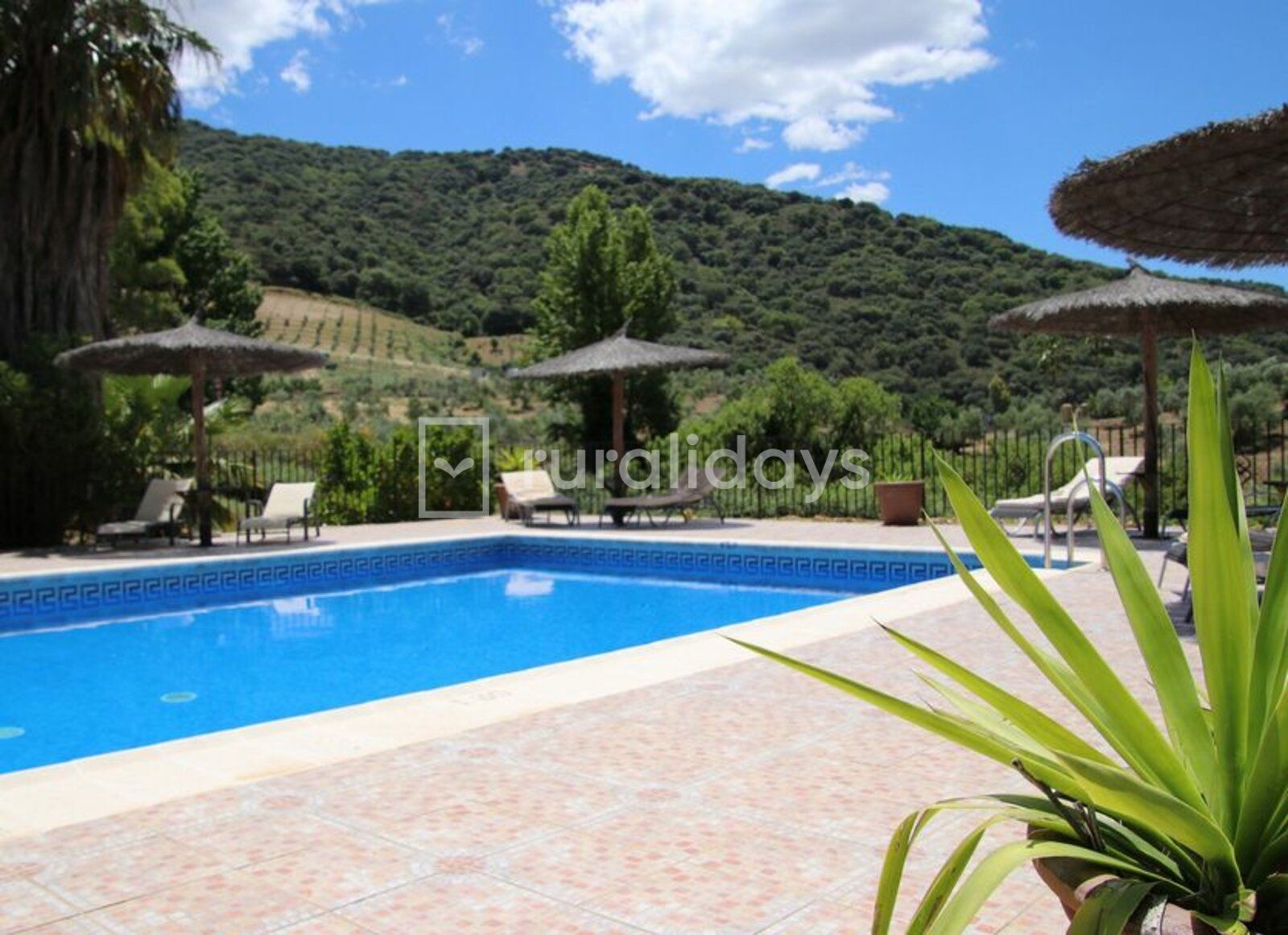 Vakantiehuis Malaga Andalusië voor 19 personen