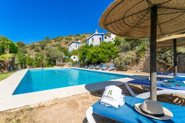 Wonderfully decorated house surrounded by olive trees