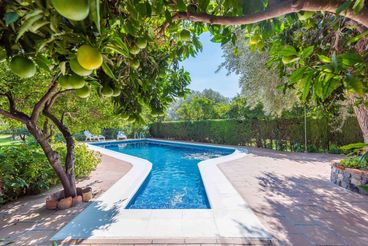 Vakantiehuis Alpujarra Granadina Andalusië voor 4 personen