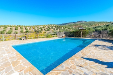 Maison rurale  avec grande piscine et terrain arboré