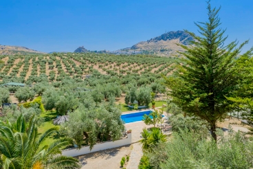 Typical Andalusian house surrounded by olive trees
