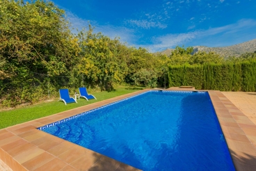 Beautiful white villa with pool surrounded by olive trees